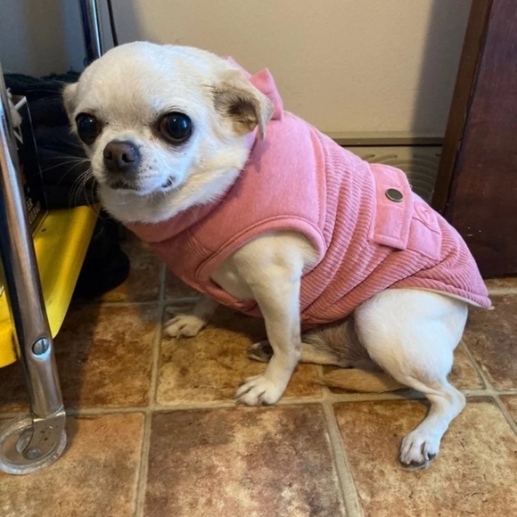 Pink Dog Vest / Coat with Bow - Picture 1 of 9